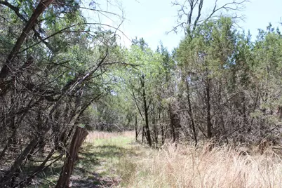 Tbd Oak Run Drive, Wimberley, TX 78676 - Photo 21