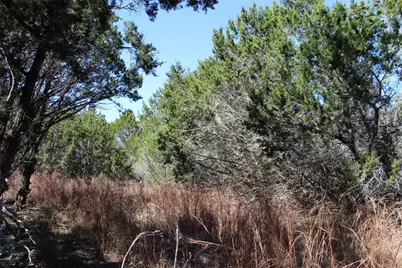 Tbd Oak Run Drive, Wimberley, TX 78676 - Photo 9