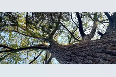 00000 Brinkley Drive, Wimberley, TX 78676 - Photo 25
