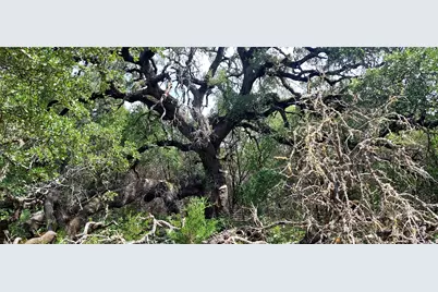 00000 Brinkley Drive, Wimberley, TX 78676 - Photo 21