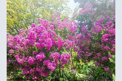 3618 Quiette Drive, Austin, TX 78754 - Photo 29