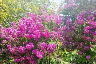 3618 Quiette Dr, Austin, TX 78754 - Photo 29