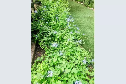 3618 Quiette Drive, Austin, TX 78754 - Photo 31