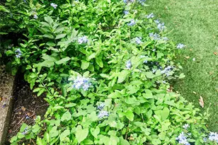 3618 Quiette Dr, Austin, TX 78754 - Photo 37