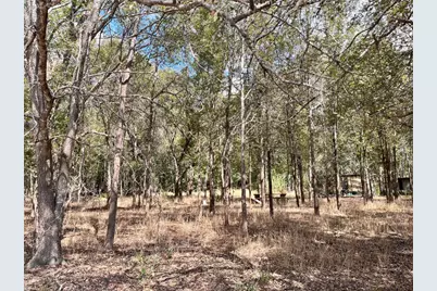 Tbd Hidden Shores Loop, Smithville, TX 78957 - Photo 5