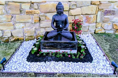 909 Zacarias Drive, Leander, TX 78641 - Photo 39