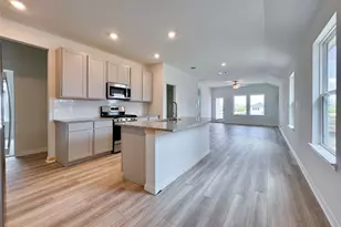 119 Bayou Mint Blvd, Buda, TX 78610 - Photo 3