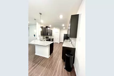 14205 Silver Lace Lane, Pflugerville, TX 78660 - Photo 5