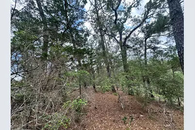 217 Helemano Drive, Bastrop, TX 78602 - Photo 3