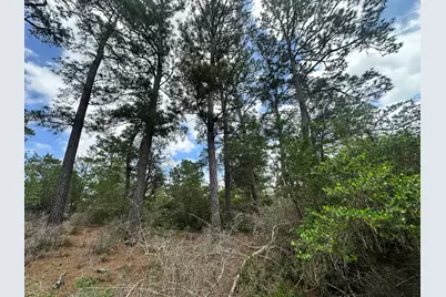 217 Helemano Drive, Bastrop, TX 78602 - Photo 5