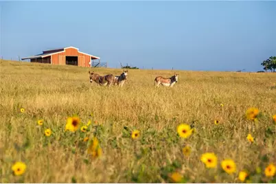 20145 Janak Road, Coupland, TX 78615 - Photo 37
