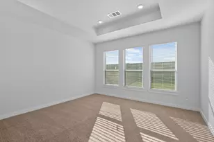 276 Bloomington Loop, Hutto, TX 78634 - Photo 17