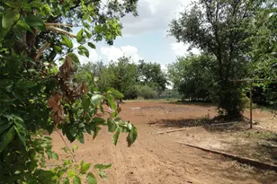 1308 Ford St, Llano, TX 78643 - Photo 7