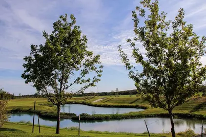 9712 Grapevine Leaf Drive, Manor, TX 78653 - Photo 15