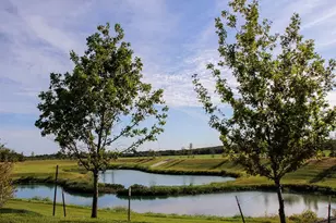 9712 Grapevine Leaf Dr, Manor, TX 78653 - Photo 15