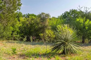 Lot 64 Wesley Ridge Dr, Spicewood, TX 78669 - Photo 13
