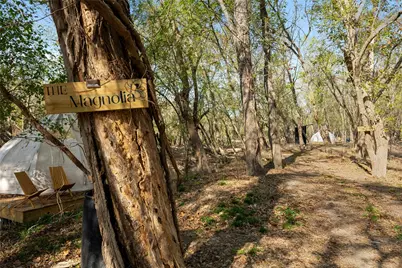 2004 Caldwell Lane, Del Valle, TX 78617 - Photo 13