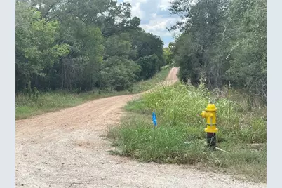 105 E Waiehu Ln Lane, Bastrop, TX 78602 - Photo 5