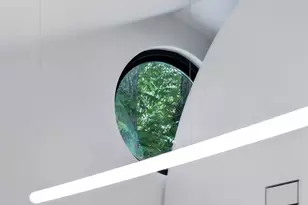 5207 Avenue F, Austin, TX 78751 - Photo 15