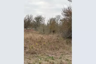 Tbd James Craft Road James Craft Road, Somerville, TX 77879 - Photo 3