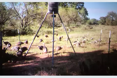 0 Rr 152, Llano, TX 78643 - Photo 11