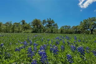 30201 Live Oak Trail, Georgetown, TX 78633 - Photo 29