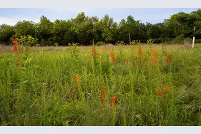 13800 Lone Rider Trail, Austin, TX 78738 - Photo 25