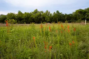 13800 Lone Rider Trail, Austin, TX 78738 - Photo 25