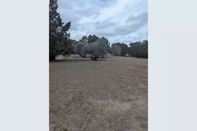 111 Rose Drive, Dripping Springs, TX 78620 - Photo 9