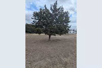 111 Rose Drive, Dripping Springs, TX 78620 - Photo 7