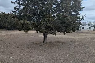 111 Rose Dr, Dripping Springs, TX 78620 - Photo 7