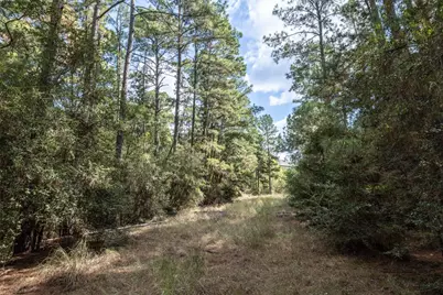 Lot 1447 Koae Court, Bastrop, TX 78602 - Photo 5