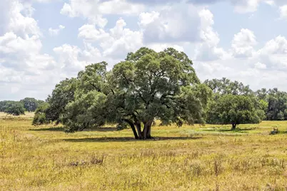 265 Boulton Creek Road, Flatonia, TX 78941 - Photo 15