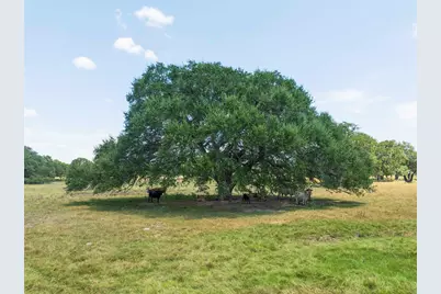 265 Boulton Creek Road, Flatonia, TX 78941 - Photo 11