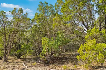1000 Norwood Road, Dripping Springs, TX 78620 - Photo 23