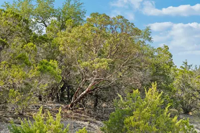 1000 Norwood Road, Dripping Springs, TX 78620 - Photo 21