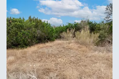 220 Lantana Bud Trail, Liberty Hill, TX 78642 - Photo 5