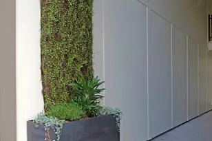 924 E 51st St, Austin, TX 78751 - Photo 11