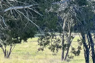 0 Cr 421 Rd, Spicewood, TX 78669 - Photo 23