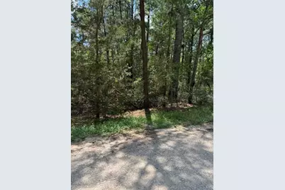 Lot 250 Hekili Drive, Bastrop, TX 78602 - Photo 1