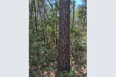 Lot 250 Hekili Drive, Bastrop, TX 78602 - Photo 5