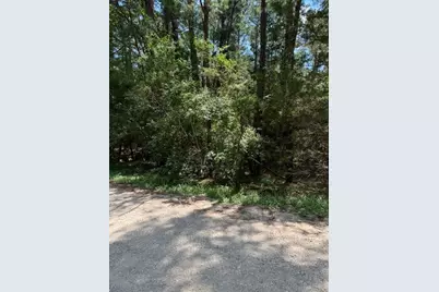 Lot 250 Hekili Drive, Bastrop, TX 78602 - Photo 7