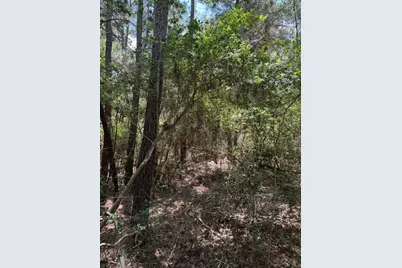 Lot 250 Hekili Drive, Bastrop, TX 78602 - Photo 3