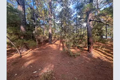 Lot 84 Hill Ridge Drive, Bastrop, TX 78602 - Photo 9