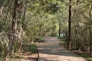 1105 Pigeon Forge Dr, Pflugerville, TX 78660 - Photo 19