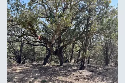 220 Estates Road, Wimberley, TX 78676 - Photo 5