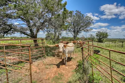 691 Grape Creek Road, Johnson City, TX 78636 - Photo 27