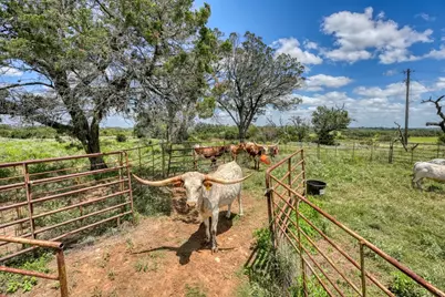 691 Grape Creek Road, Johnson City, TX 78636 - Photo 3