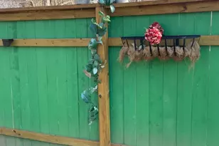 7691 Delwau Ln, Austin, TX 78725 - Photo 3