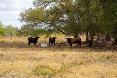 2689 County Road 419 Road, Taylor, TX 76574 - Photo 19